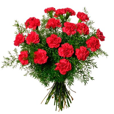 Ретро-гвоздики